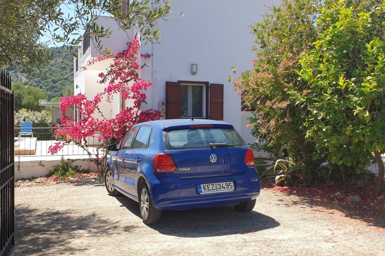 24 - Driveway